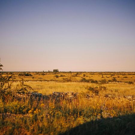 Stuga Med Panoramautsikt, Paradis Foer Fagelskadare Och Vandrare, Sjaelvstaed Efter Besoek Mörbylånga Buitenkant foto